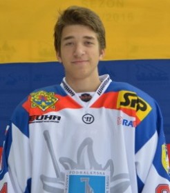 VOLODYMYR VOROPAI