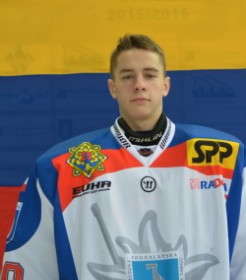 Лапшенков Василий
